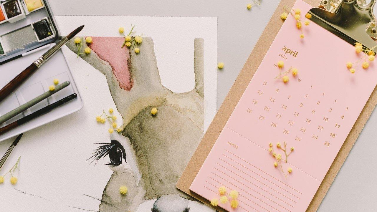 WHEN IS MY BABY DUE? - Belle Baby