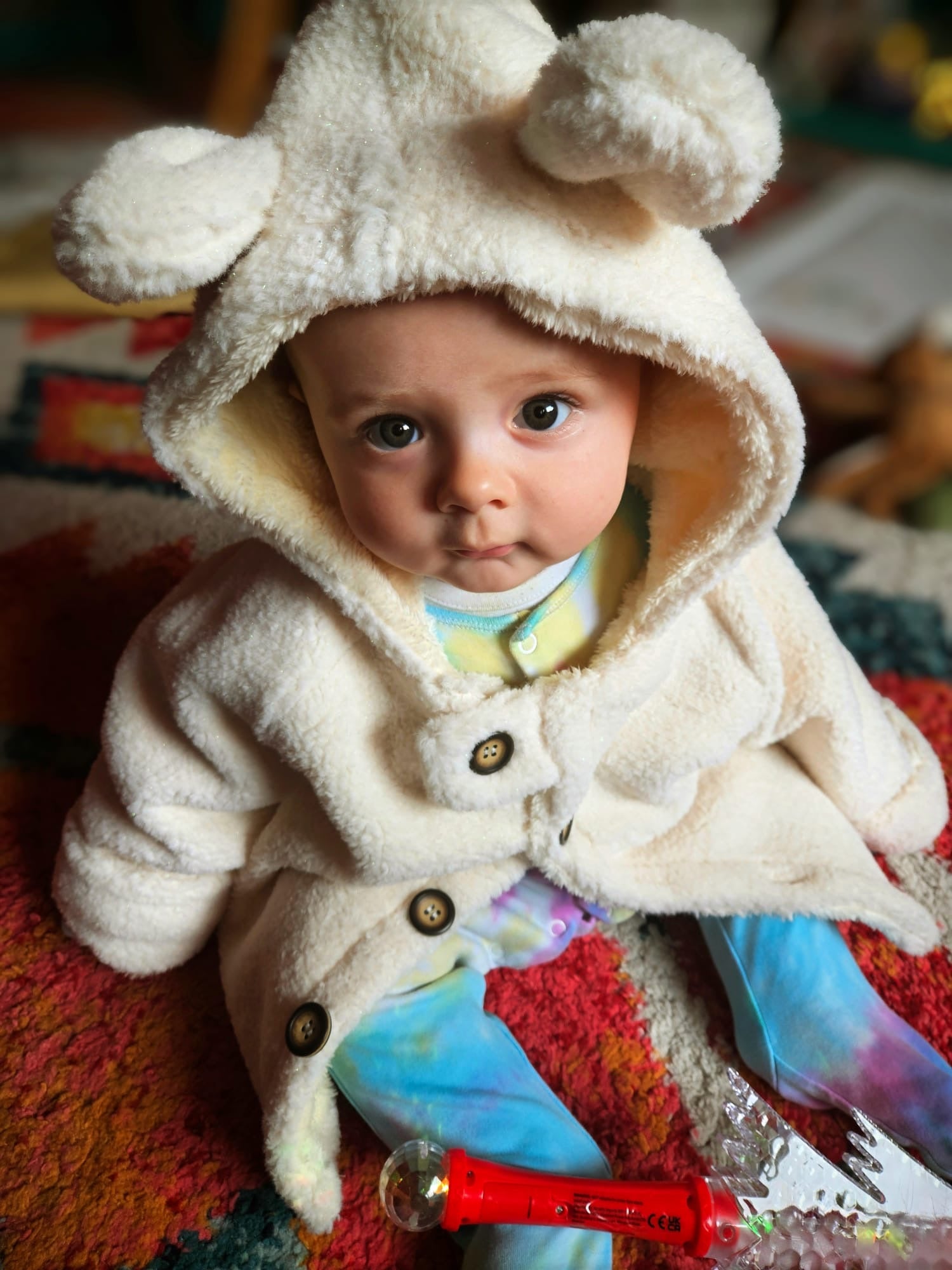 Winter Hooded Teddy Coat